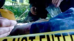 Visuel de Enquête, crime et forensique