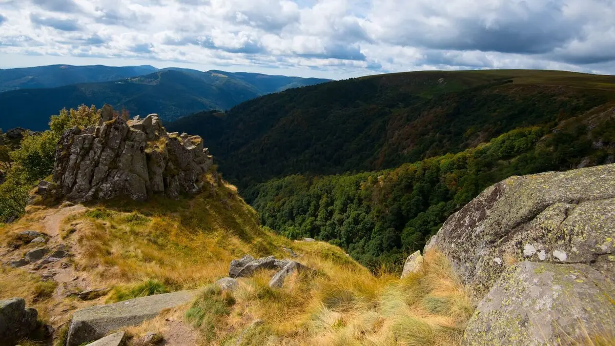Enquête d'action Gendarmes de campagne : affaires sensibles au pied des Vosges