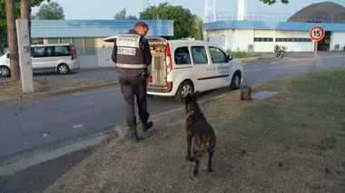 Chauffards, trafic de voitures : les gendarmes de l'Oise sous adrénaline !