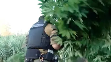 Gendarmes du grand Marseille : les trafiquants en ligne de mire