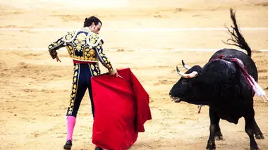 Un été de fête dans le Midi : au cœur de la féria de Nîmes