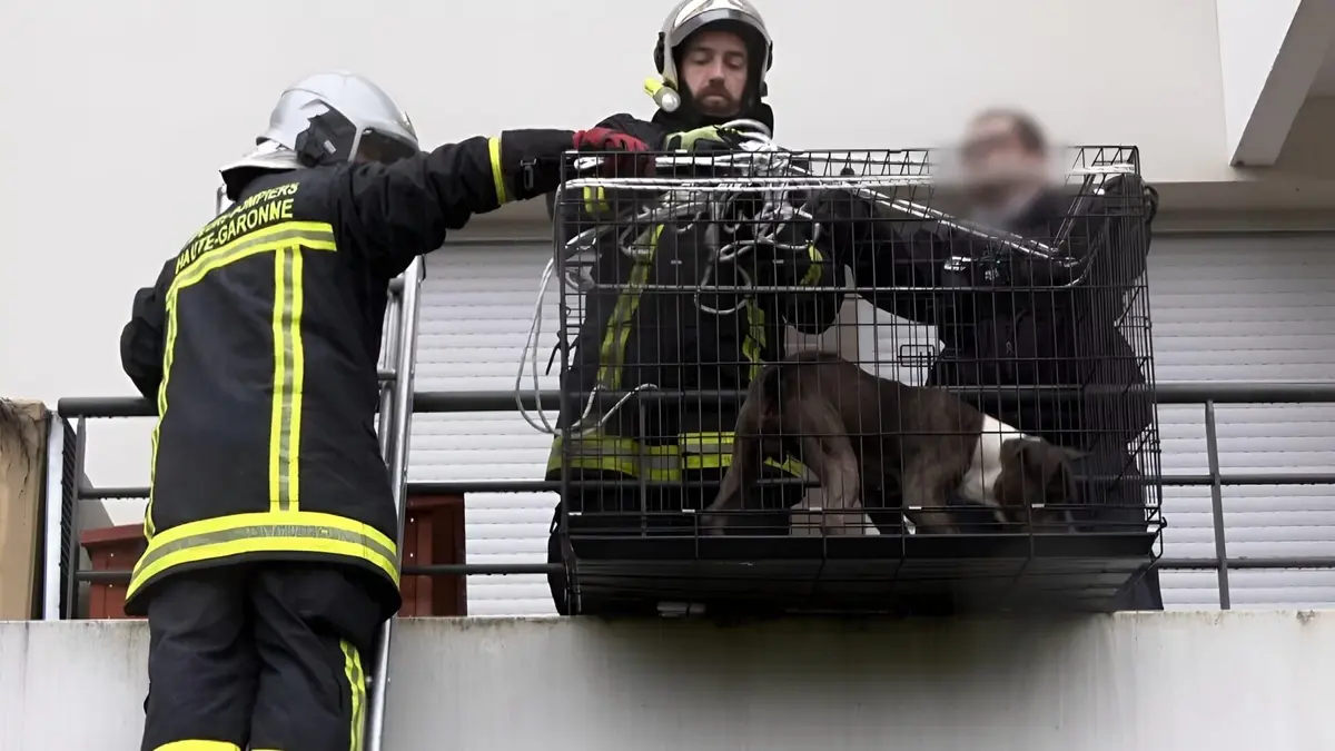 Enquête d'action Réveillon à haut risque : les pompiers de Toulouse en alerte !