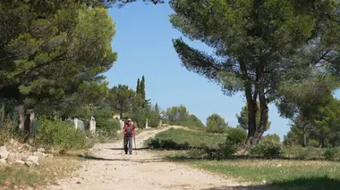 Un été en toute sécurité