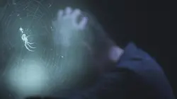 Enquête de santé Phobies, anxiété, stress... les promesses des nouvelles thérapies