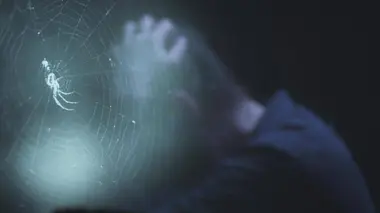 Phobies, anxiété, stress... les promesses des nouvelles thérapies