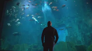 Les pouvoirs thérapeutiques de l'eau