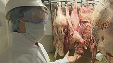 La viande en accusation