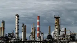 Enquête exclusive Pétrole, forêts décimées, ours affamés : l'autre visage du Canada