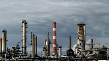 Enquête exclusive Pétrole, forêts décimées, ours affamés : l'autre visage du Canada