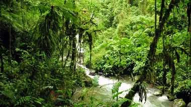 Enquête exclusive S06E33 Costa Rica : enquête sur un paradis écolo