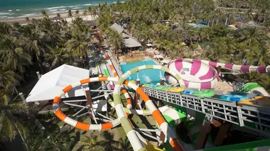 Enquête exclusive Spectaculaires et sauvages : les paradis secrets de la riviera brésilienne