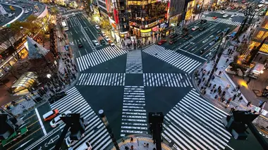 Enquête exclusive Tokyo la nuit : dans les secrets d'un Japon sans tabou