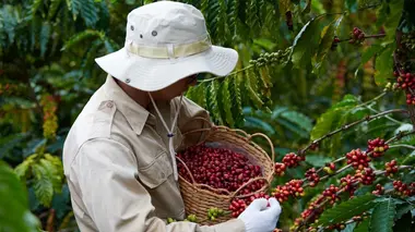 Enquête exclusive Ultralibéralisme et dictature : Vietnam, le nouveau pays modèle du communisme