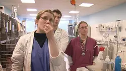 Enquête prioritaire  Les urgences vétérinaires