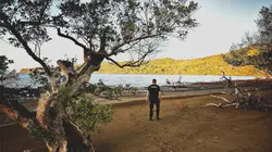 Enquête prioritaire Mayotte : les forces de l'ordre contre l'immigration clandestine