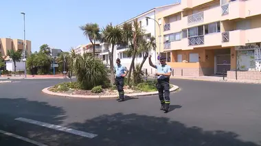 Enquête sous haute tension 100 jours avec les gendarmes de choc de l'Hérault (n°1)
