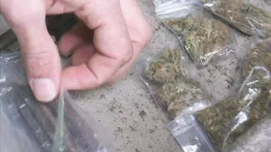 Flics contre voyous : la BAC de Rennes en action