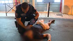 Enquête sous haute tension Violences intra-familiales, agressions, trafics d'animaux : 100 jours avec les gendarmes de l'Isère (n°2)