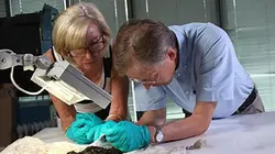 Visuel de Enquête sur la momie des tourbières