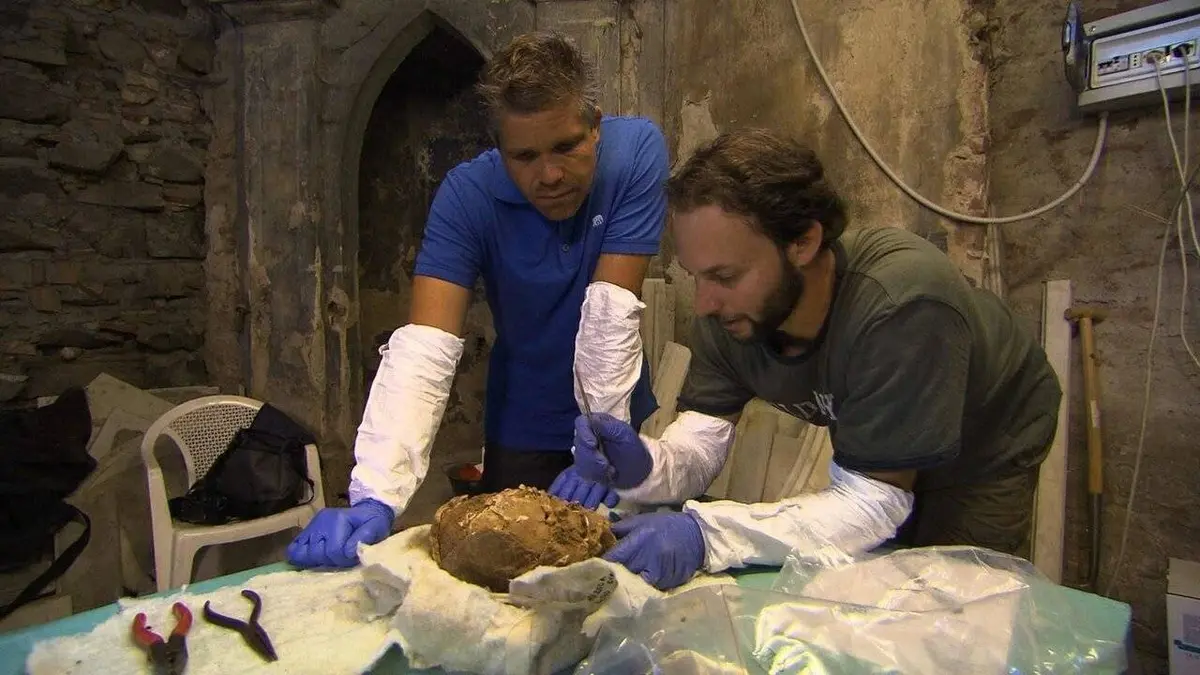 Enquête sur la peste noire