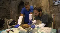 Enquête sur la peste noire