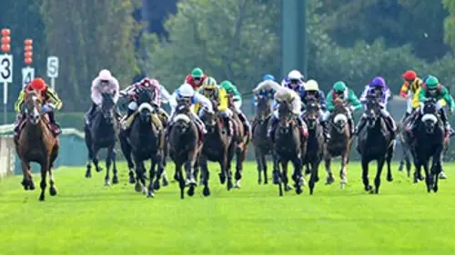 Enquête sur les commissaires de galop