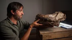 Enquête sur les prédateurs terrestres