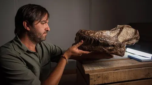 Enquête sur les prédateurs terrestres