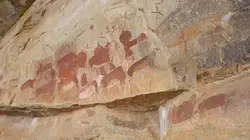 Enquêtes archéologiques  Les premiers chamanes d'Afrique du Sud