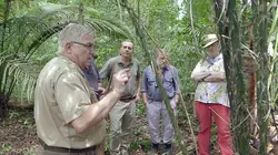 Enquêtes archéologiques Amazonie : un peuple oublié