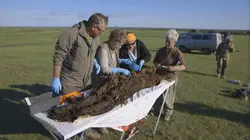 Enquêtes archéologiques