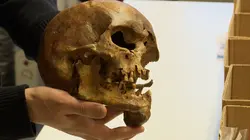 Enquêtes au Moyen Age