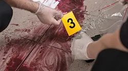 Enquêtes criminelles