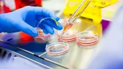 Enquêtes criminelles