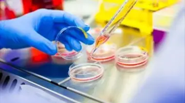 Enquêtes criminelles