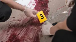 Enquêtes criminelles