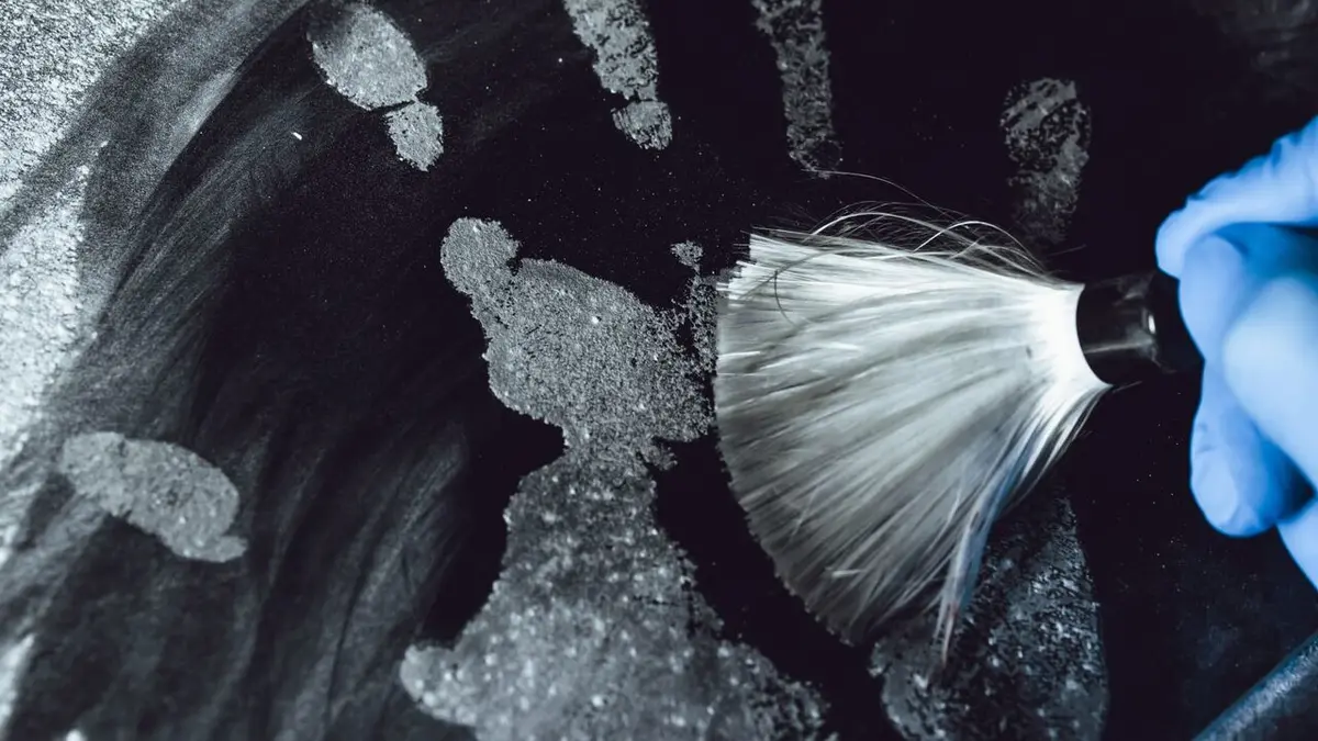 Enquêtes criminelles : Portland