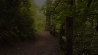 De l'ADN en veux-tu en voilà !