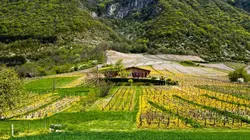 Enquêtes de Région