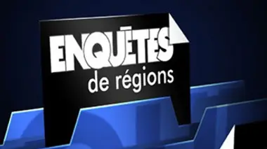 Enquêtes de régions