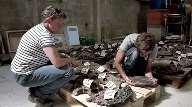 Le trésor de l'île de Batz