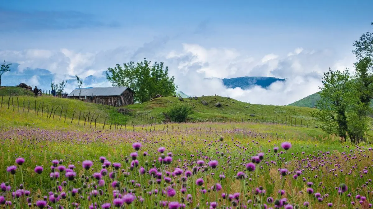 Enquêtes extraordinaires