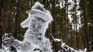 Enquêtes paranormales