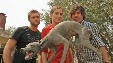 Chiens mystérieux