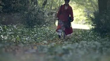 La clinique de Saumery