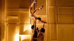 Entre chiens et louves par le Cirque Le Roux au Bon Marché Rive Gauche