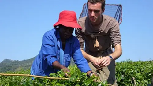 Entre ciel et terre Chez les Vendas, Afrique du Sud