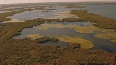 Namibie, le safari céleste