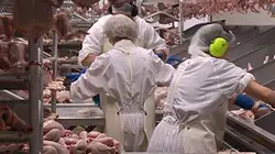 Entrée du personnel