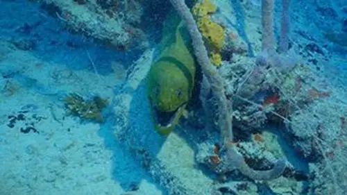 Epaves de récifs E02 L'archipel des Keys